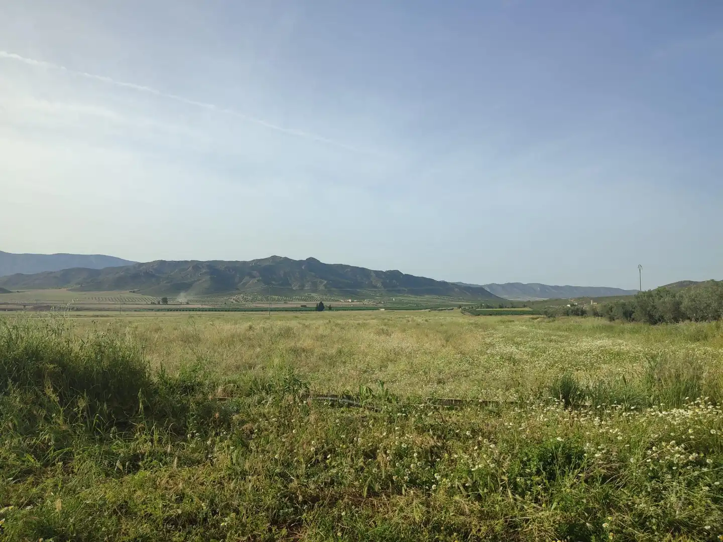 Casa rústica amb jardí en venda a Jumilla, imagen 4