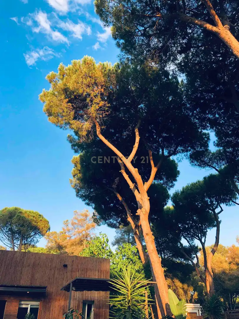 Casa o xalet en venda a Gavà, Barcelona, Spain, -1, Centre - Estació
