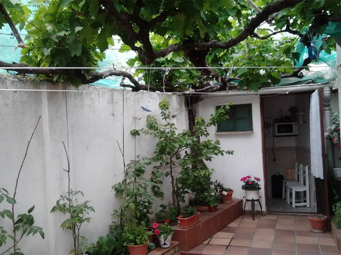 Casa con giardino in vendita a Plaza los Castroverdes Ibericos 2