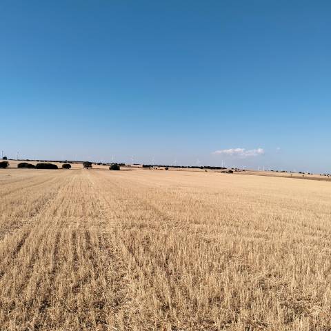 Terreno en Venta en CM-3152, 6 en El Bonillo