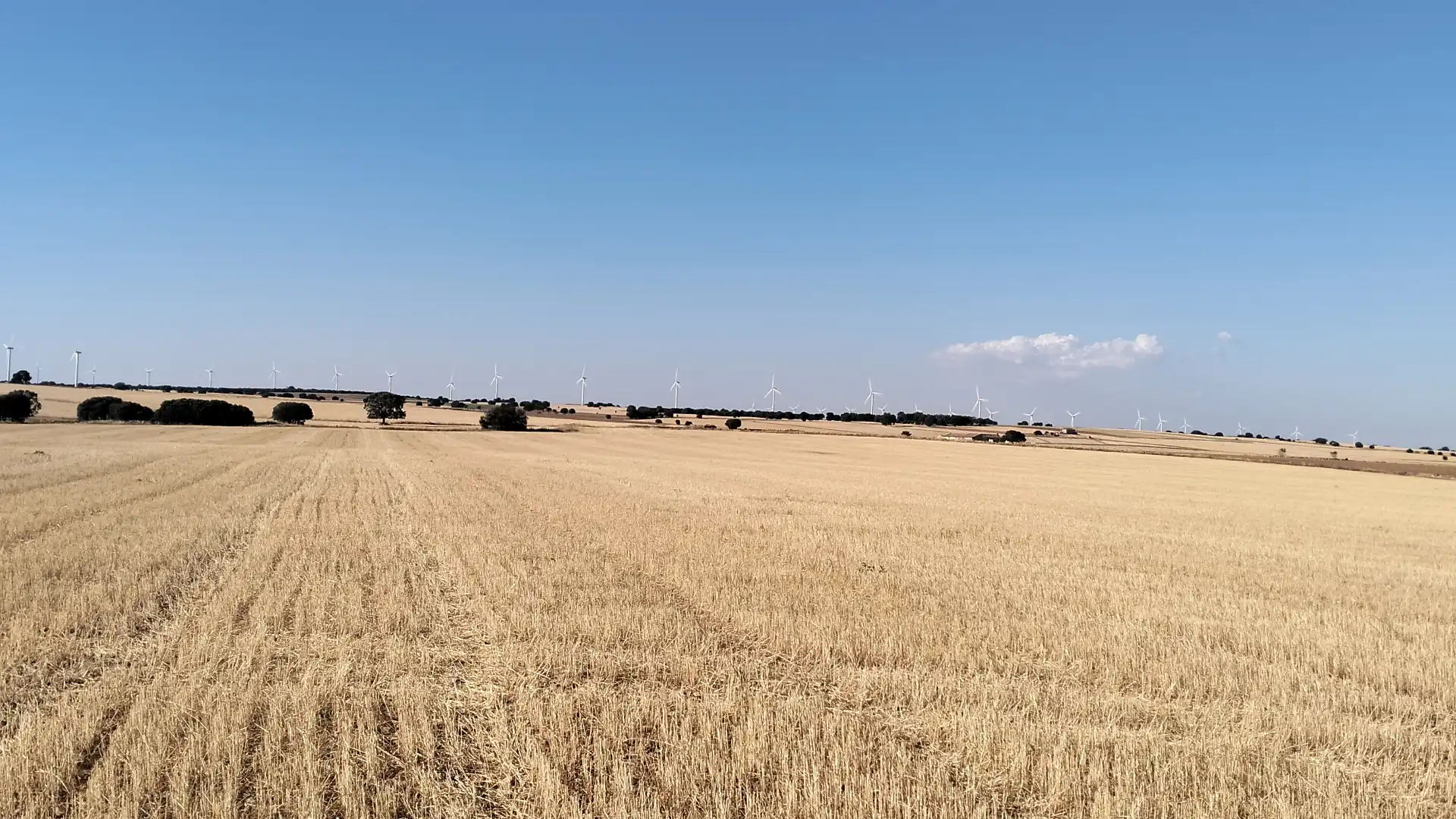 Terreno en venta en El Bonillo