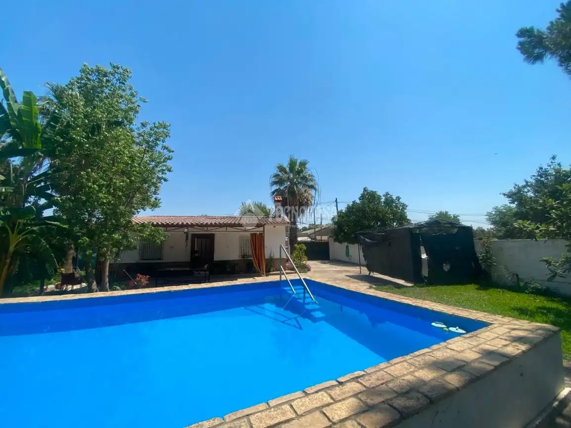 Swimming pool of Country homes for sale in Dos Hermanas