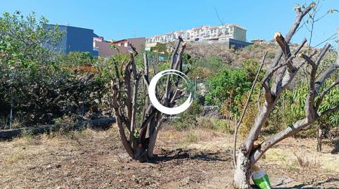 Photo 5 of Land for sale in San Felipe - San Marcos - Las Cañas, Santa Cruz de Tenerife