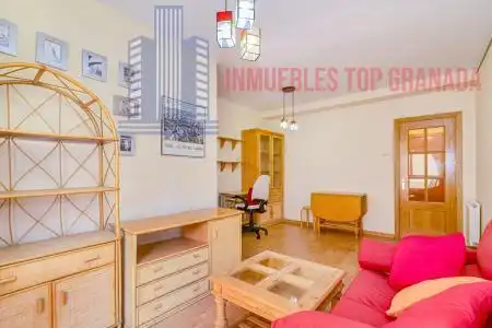 Exterior view of Apartments for sale in Granada