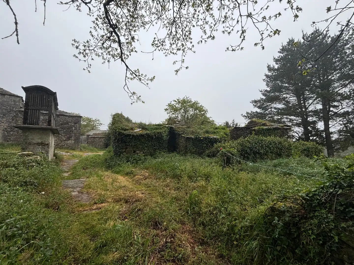 Finca rústica en venta en Guitiriz