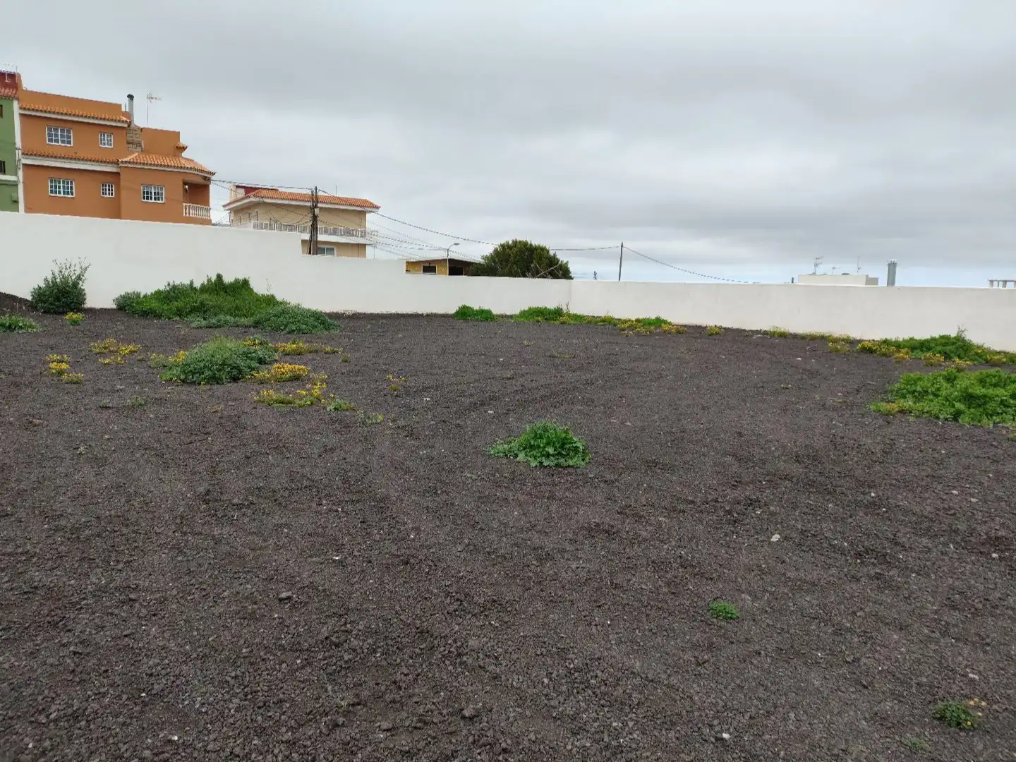 Geschaftsraum zur Miete in Santa Cruz de Tenerife mit Terrasse, Internet und Alarm