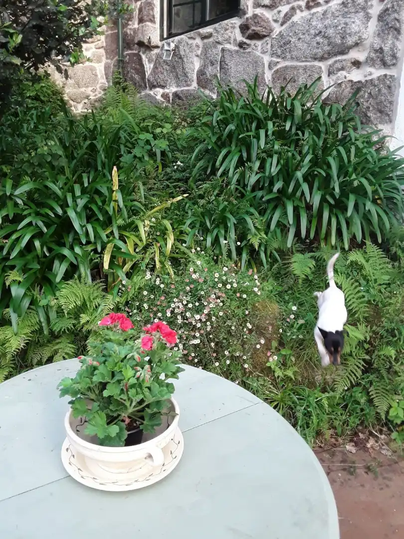 Xalet amb jardí en venda a Picouso, imagen 33