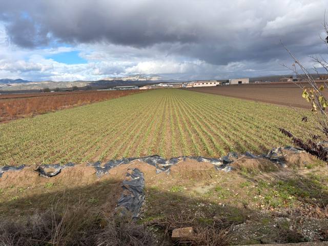 Terreno en Venta en Avenida de Andalucía, 23 en Chauchina