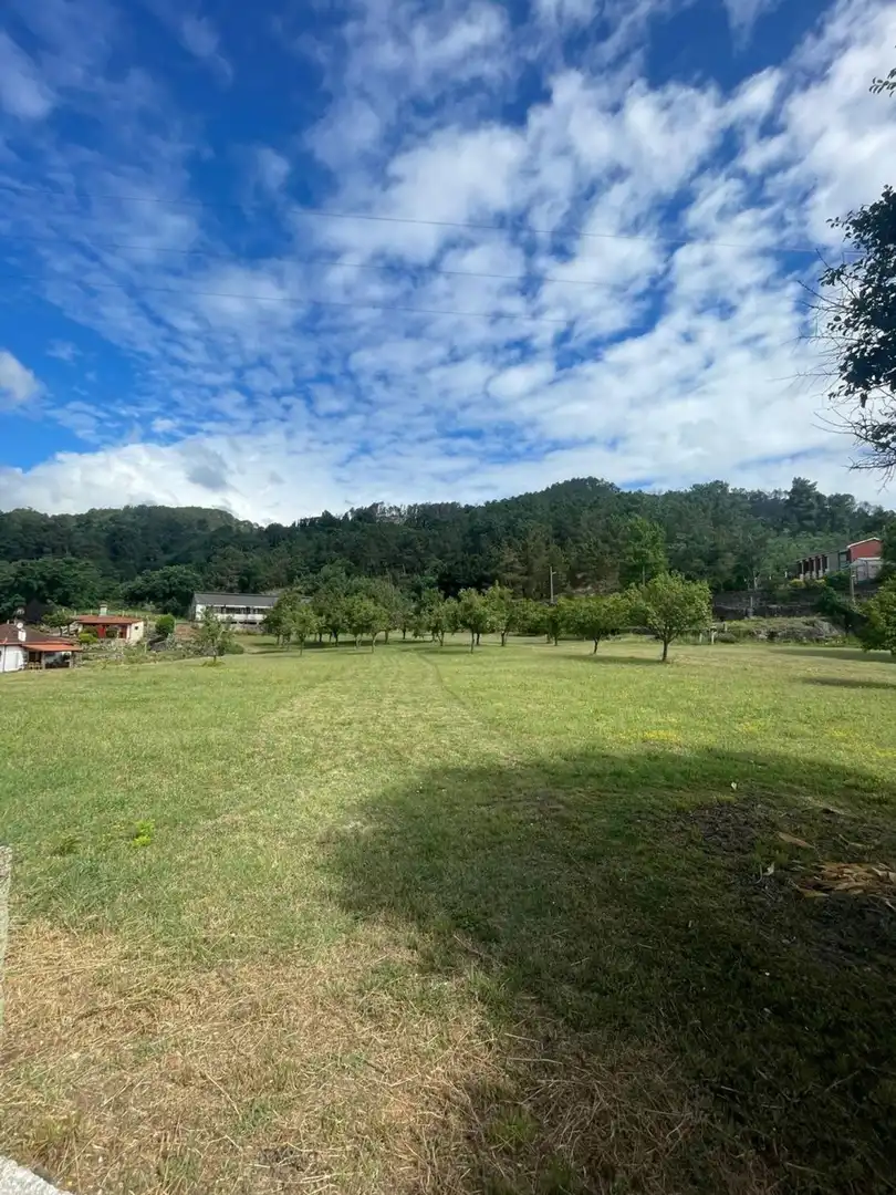 Land for sale in Ribadavia