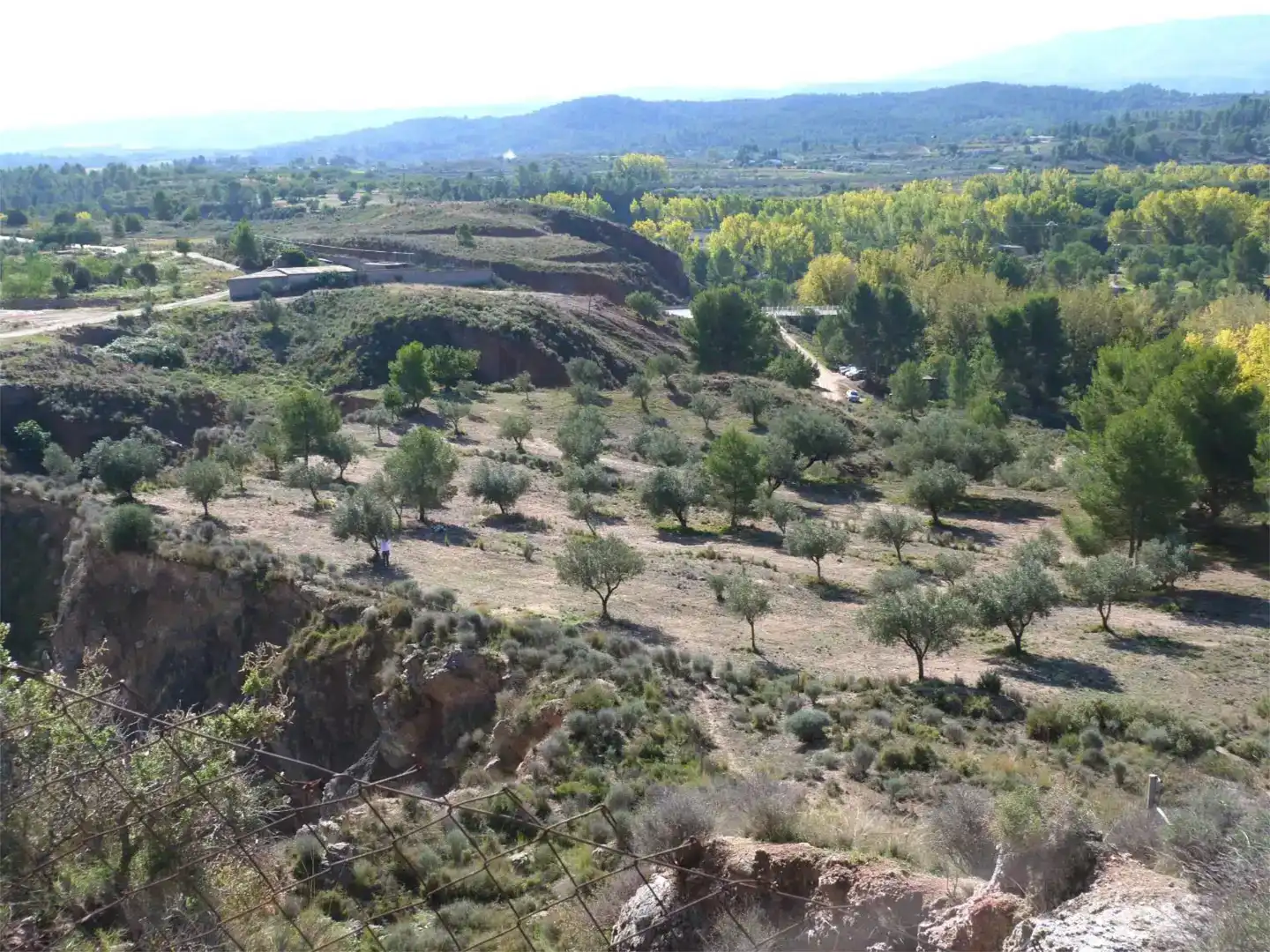 Terreno en venta en Alborache