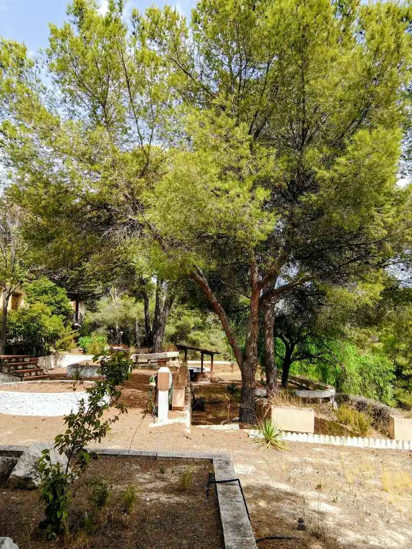 Chalet con terraza en venta en Urbanización Pinares del Mecli Izqd, imagen 16