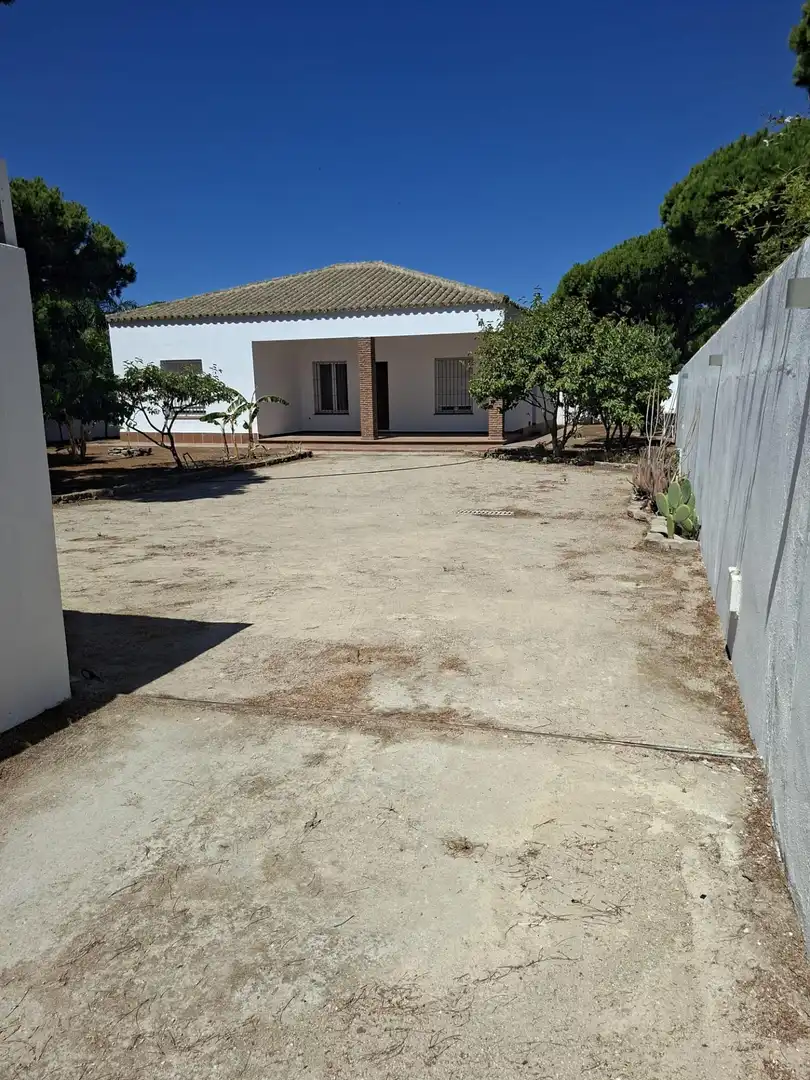 Vista exterior de Casa o xalet en venda en Chiclana de la Frontera amb Jardí privat