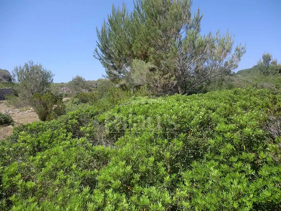 Terreno en venta en Ciutadella de Menorca