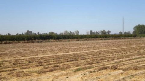 finca en venta, immagine 4