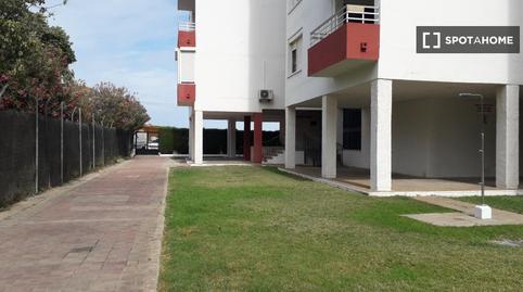 Foto 2 de Apartamento para compartir en Valdelagrana, El Puerto de Santa María