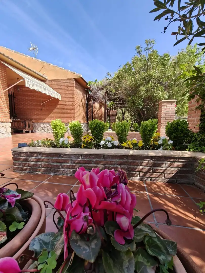 Chalet en venta en CERRO PALOS poligono 45 parcela 63, imagen 24