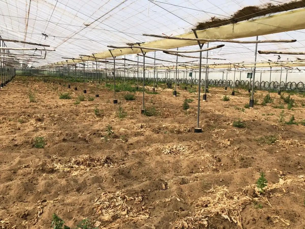 Terreni e lotti in vendita a Barbate ciudad, imagen 7