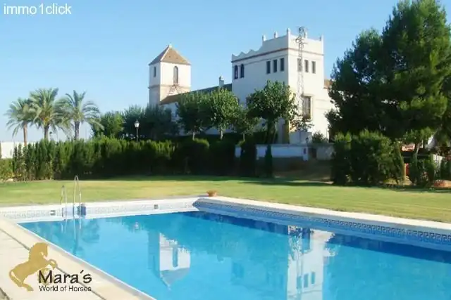 Business premises for sale in Carmona, imagen 7