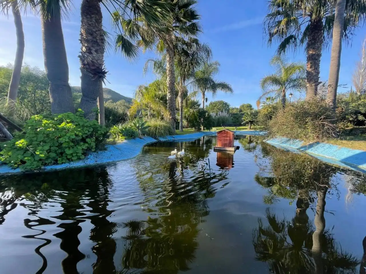 Maison avec piscine à vendre à Calle Arroyo del Indiano
