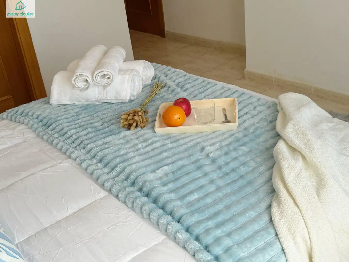 Apartament amb terrassa de lloguer a MAGRANER, DEL 1, imagen 27
