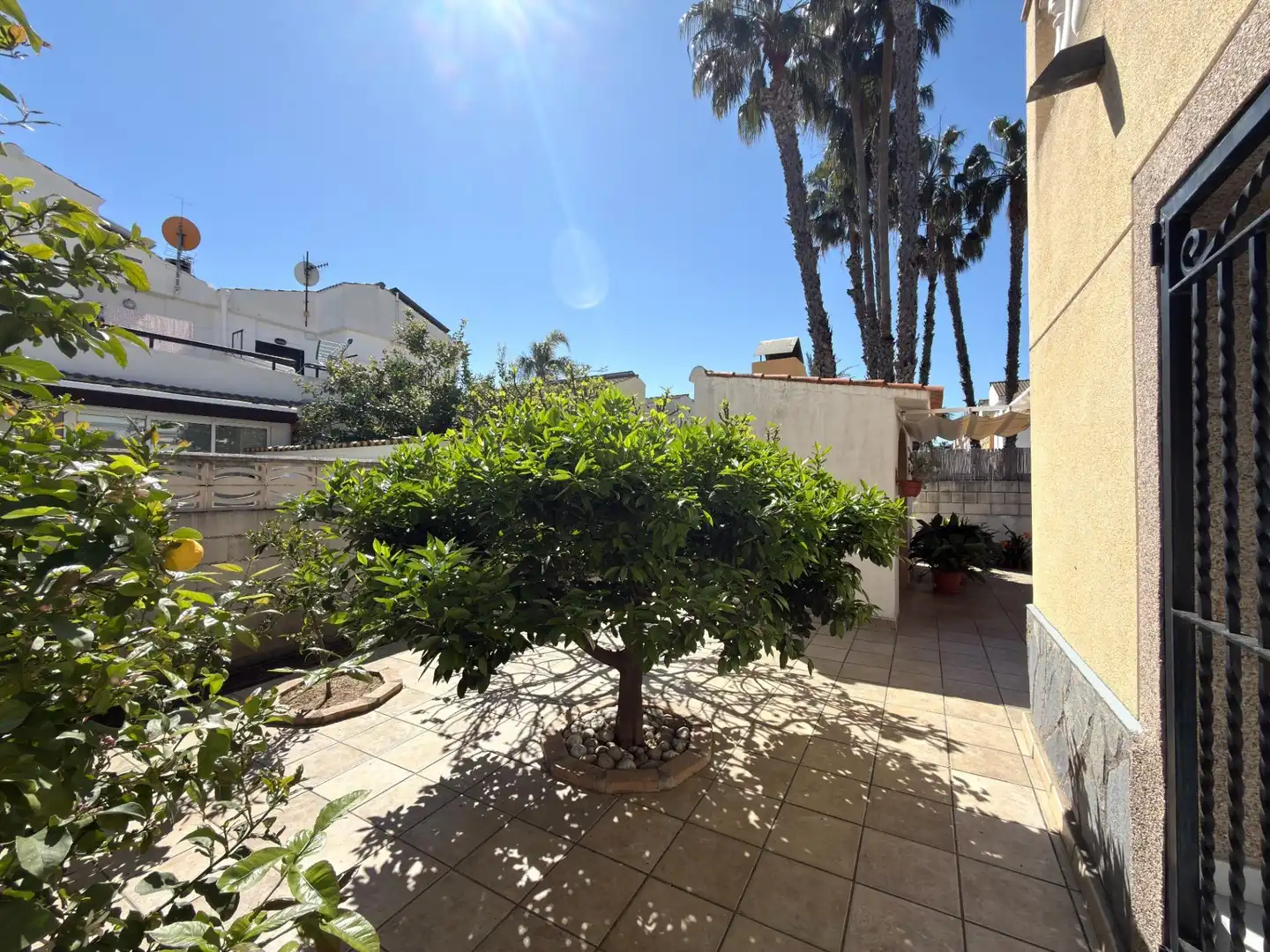 Jardí de Casa o xalet en venda en Gandia