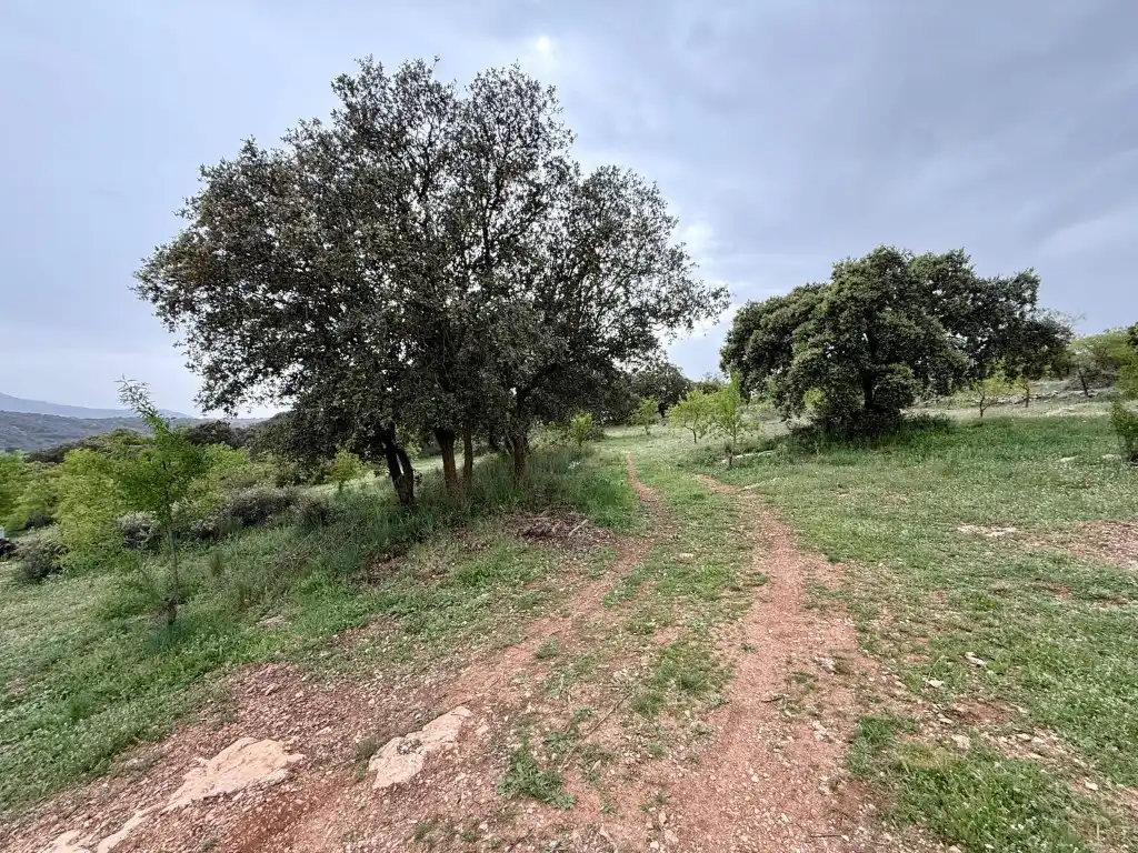 Casa o chalet en venta en Alhama de Granada