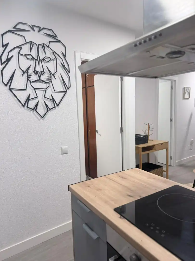 Flat to rent in Casco Antiguo, imagen 8