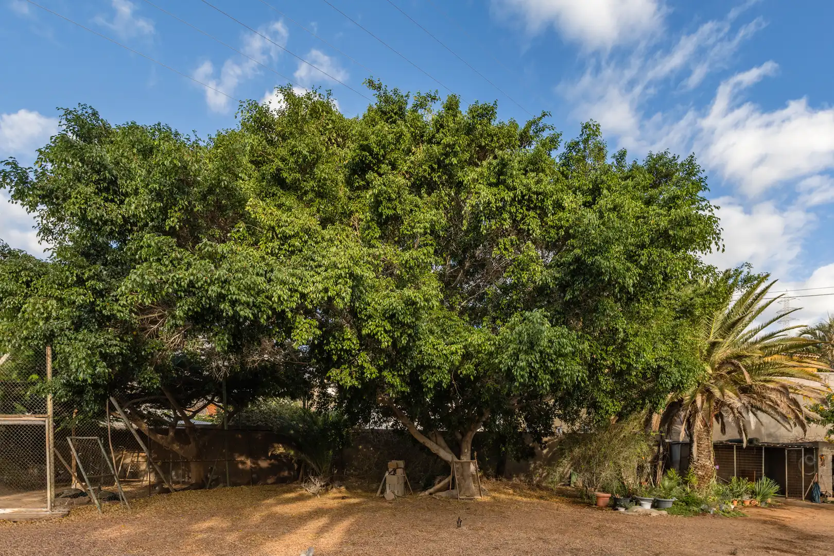 Jardí de Casa o xalet en venda en Candelaria amb Aire condicionat, Jardí privat i Terrassa