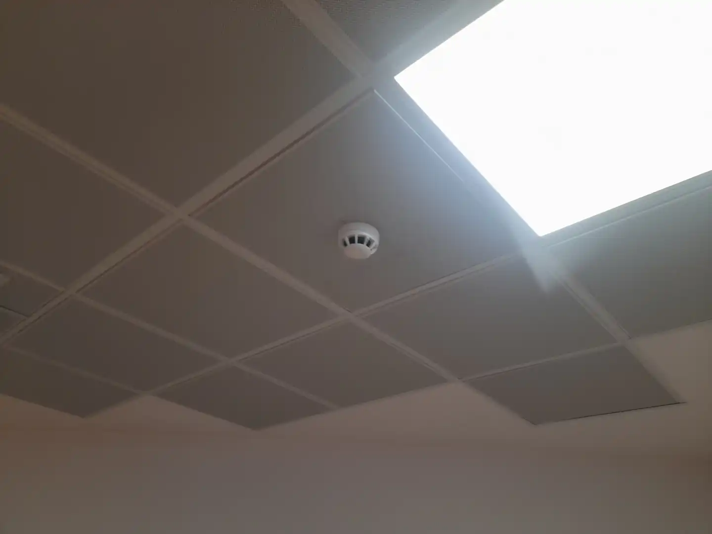 Büro mit Aufzug zur Miete in Avinguda Corts Catalanes, imagen 12