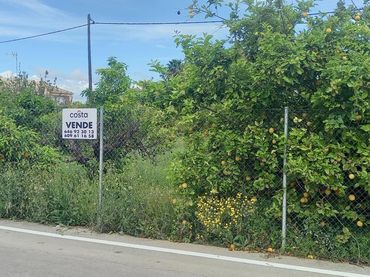 Terreni e lotti in vendita a Pedanías Oeste