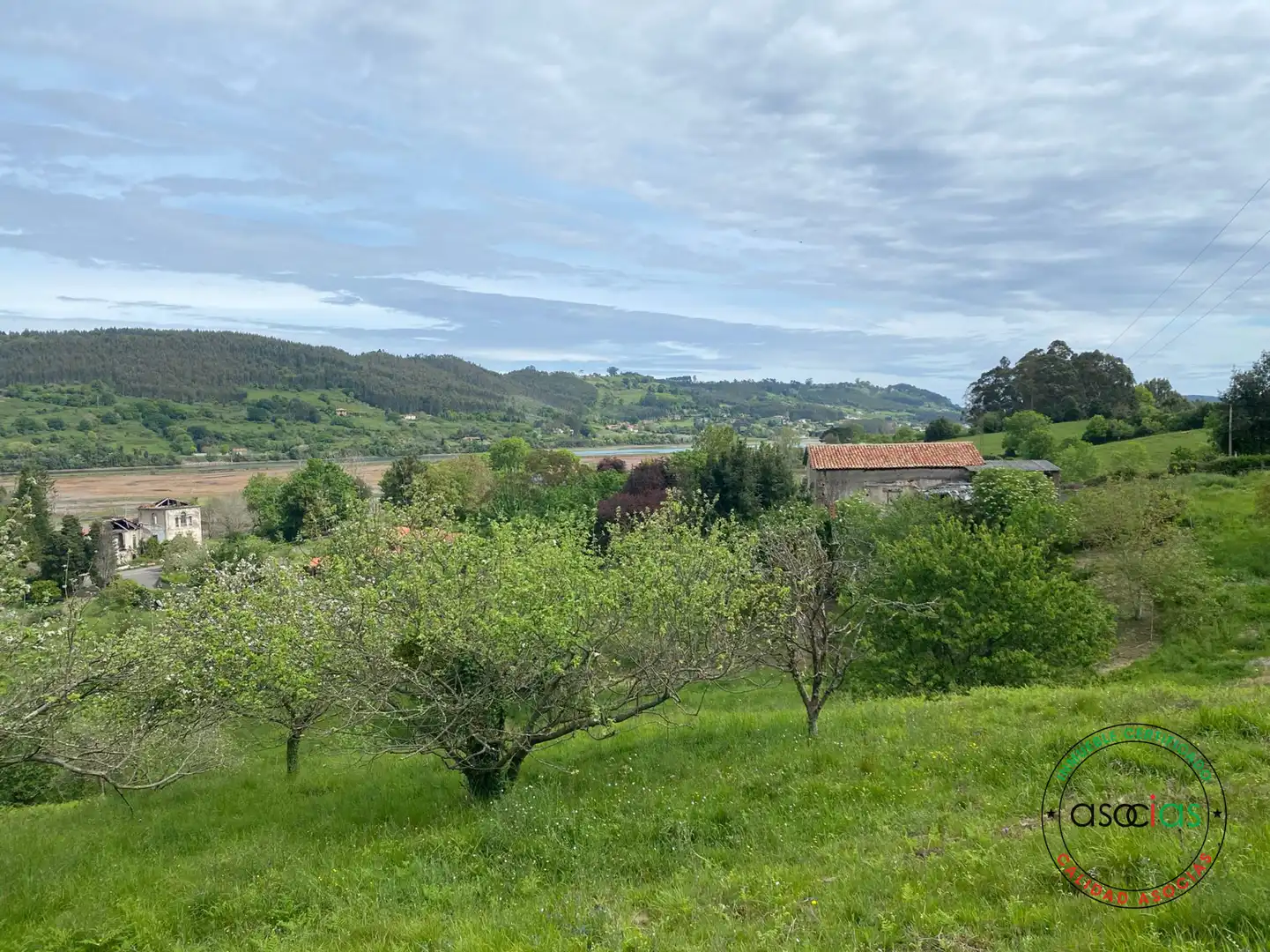 Terreno rustico in vendita a Villaviciosa - AL MUSLERA, imagen 8