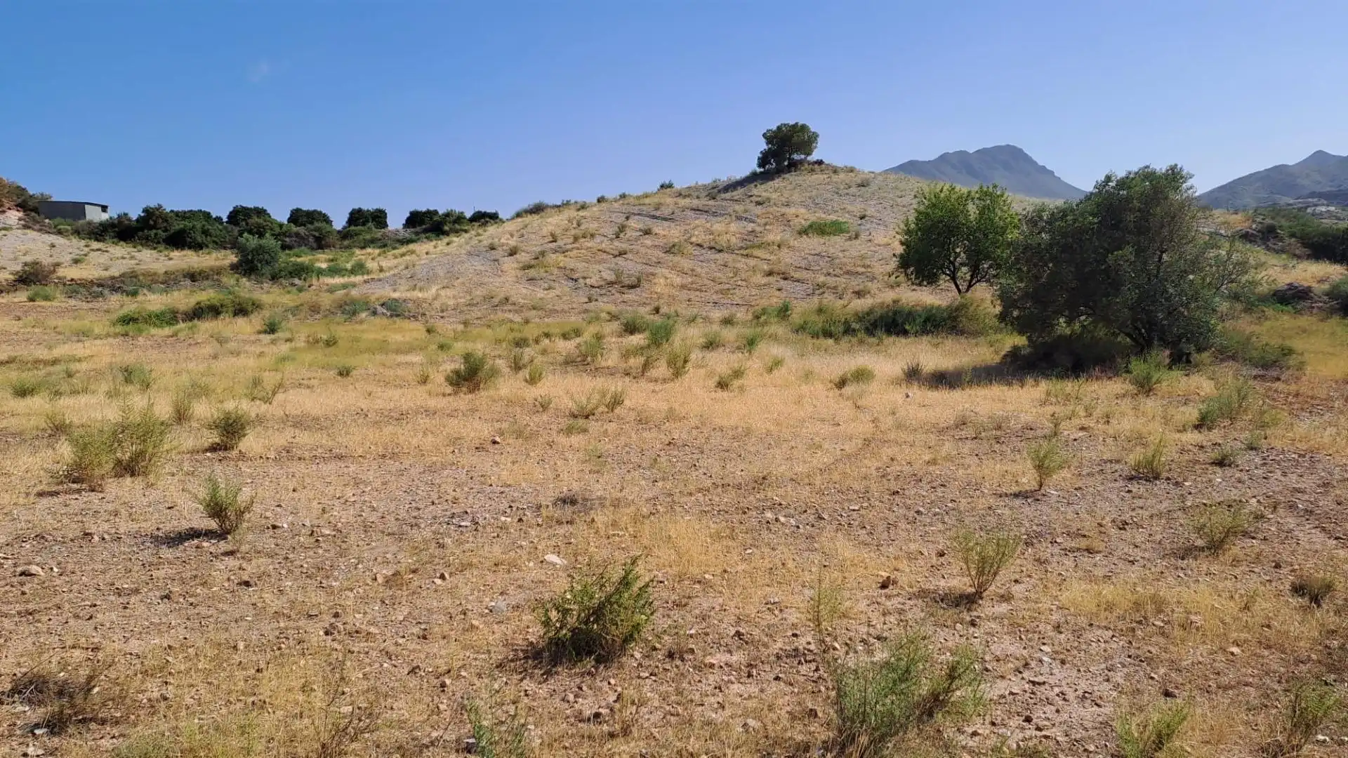 Terreny rústic en venda a Tébar - Los Arejos, imagen 6