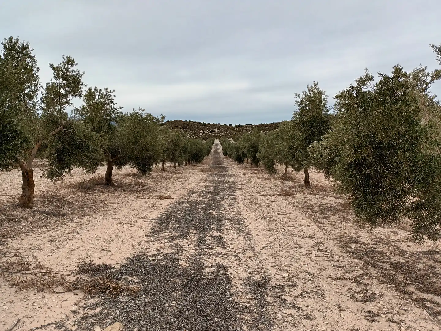Terreno en venta en Linares