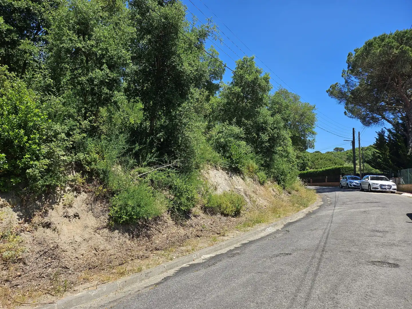 Terreno residencial en venta en Carrer Alzina Surera 54, imagen 6