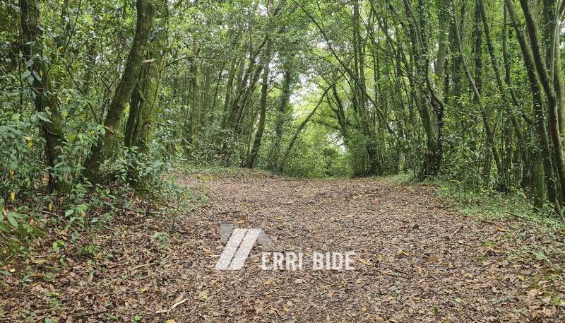 Land for sale in Fruiz