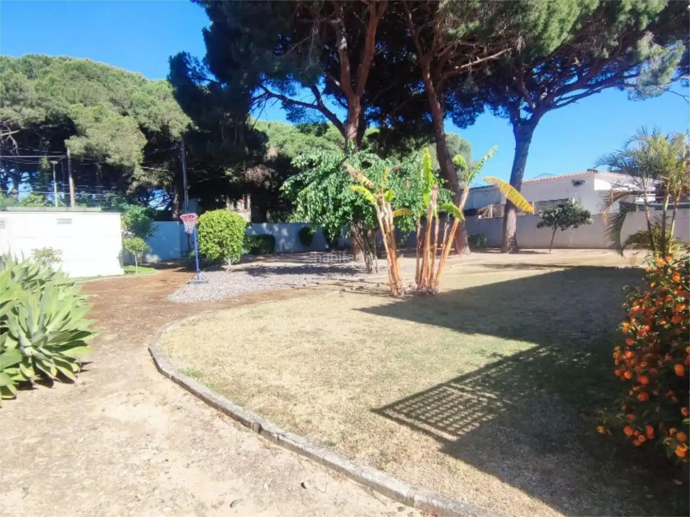 House for sale in Calle Higuera 2, imagen 3