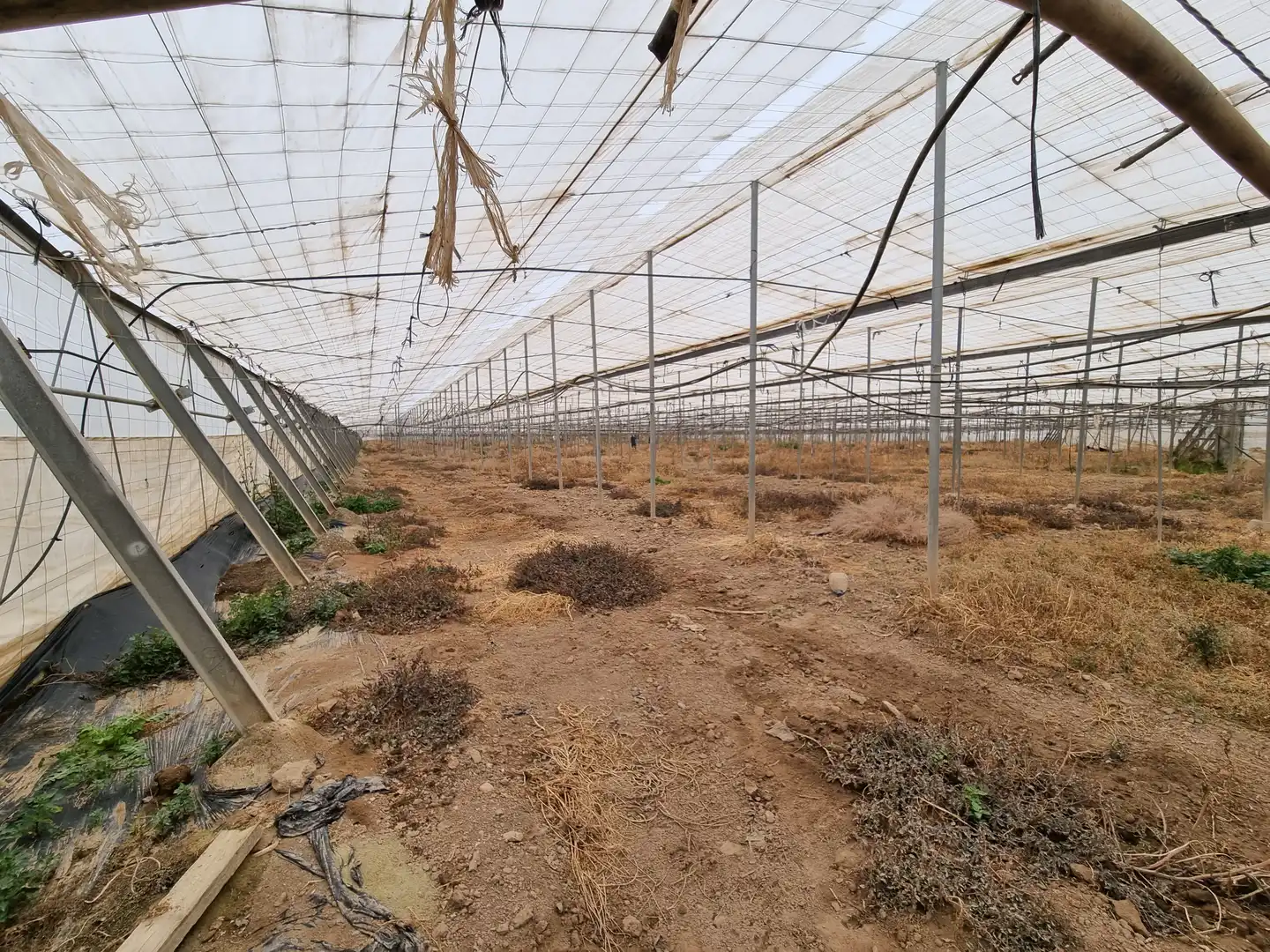 Terreny rústic en venda a Uleila del Campo, imagen 18