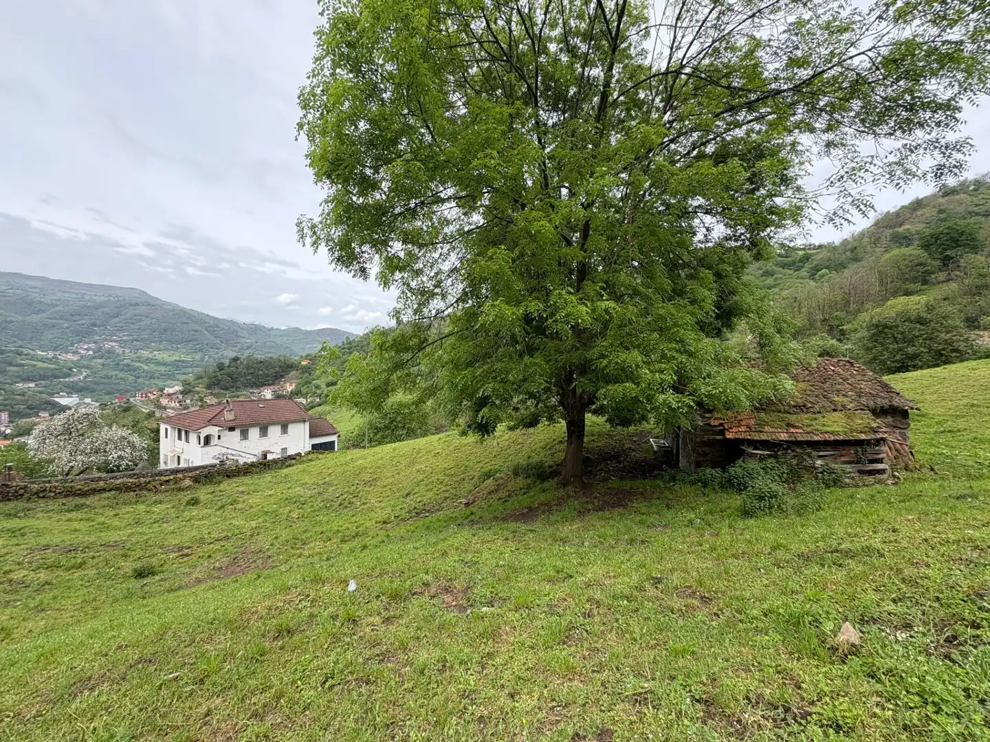 Casa o chalet en venta en Aller con Jardín privado