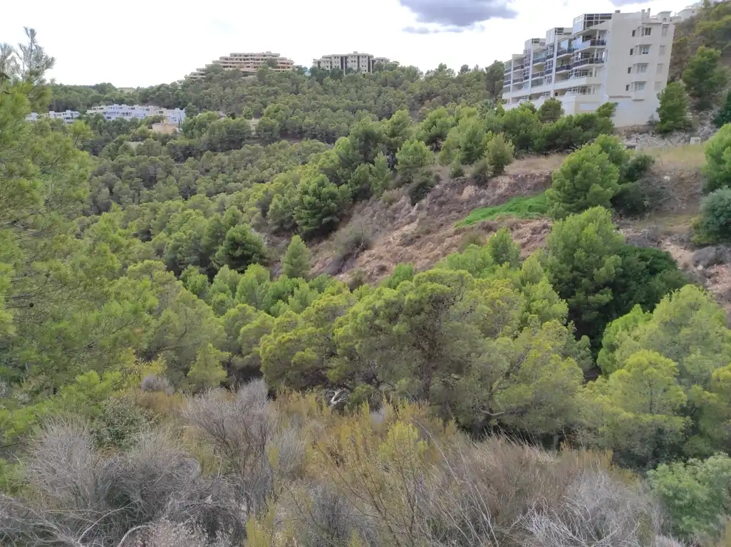 Residential land for sale in Calle Principal de la Serra, imagen 14