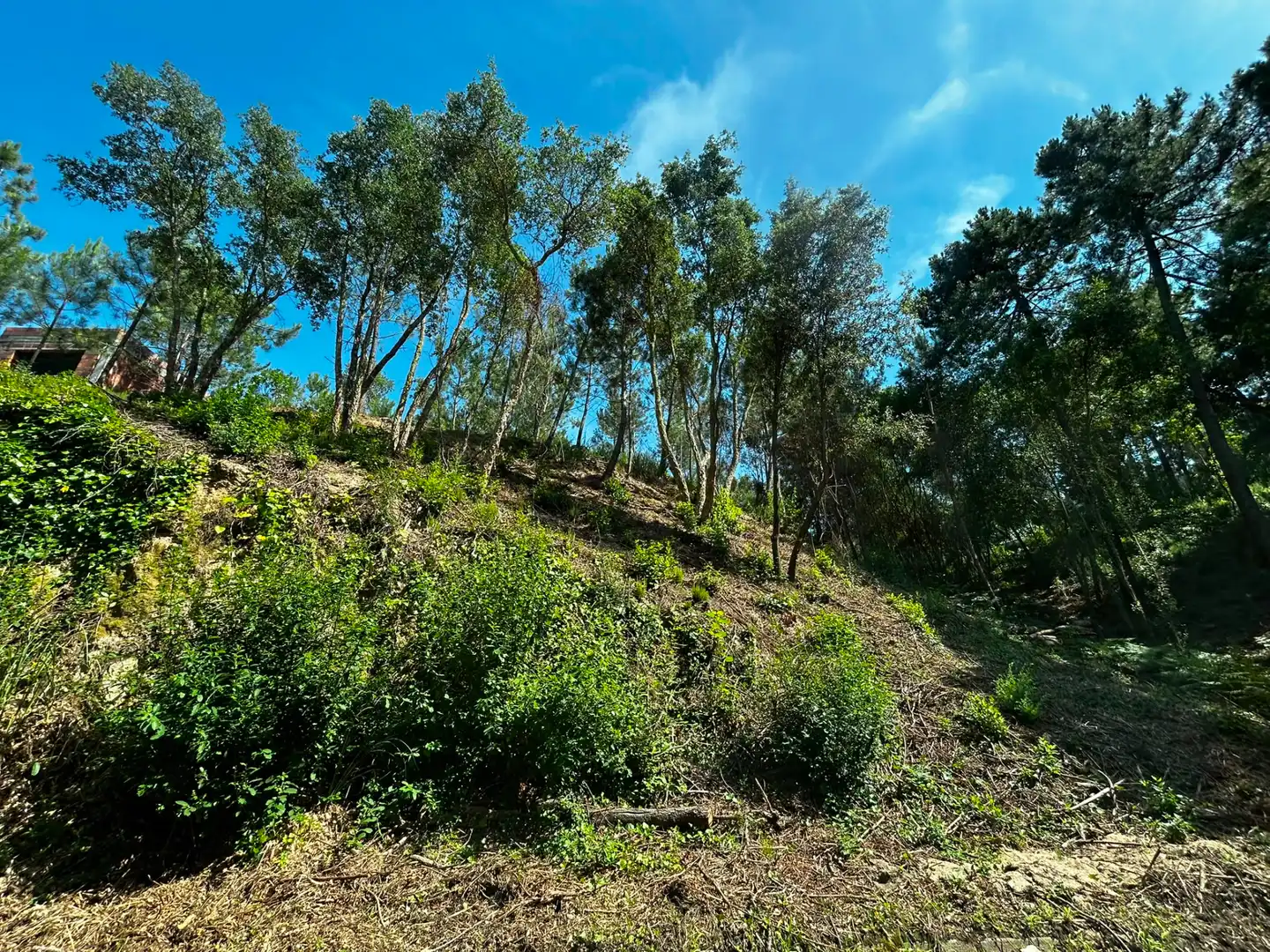 Terreno residencial en venta en Lloret Blau - La Creu de Lloret, imagen 4