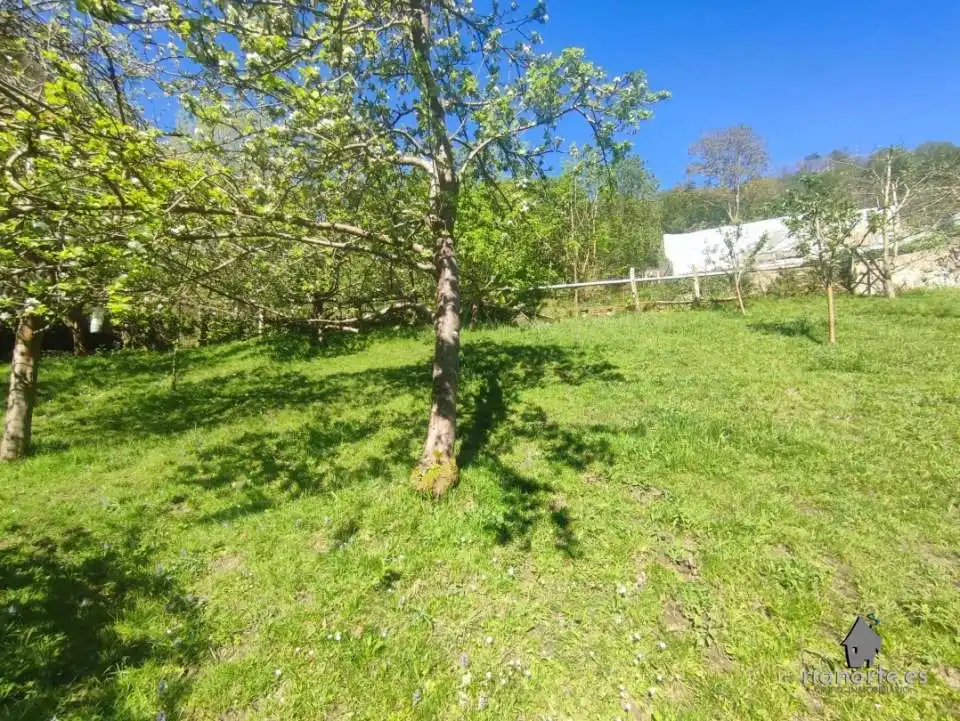 Terreno rustico in vendita a San Martín del Rey Aurelio, imagen 8