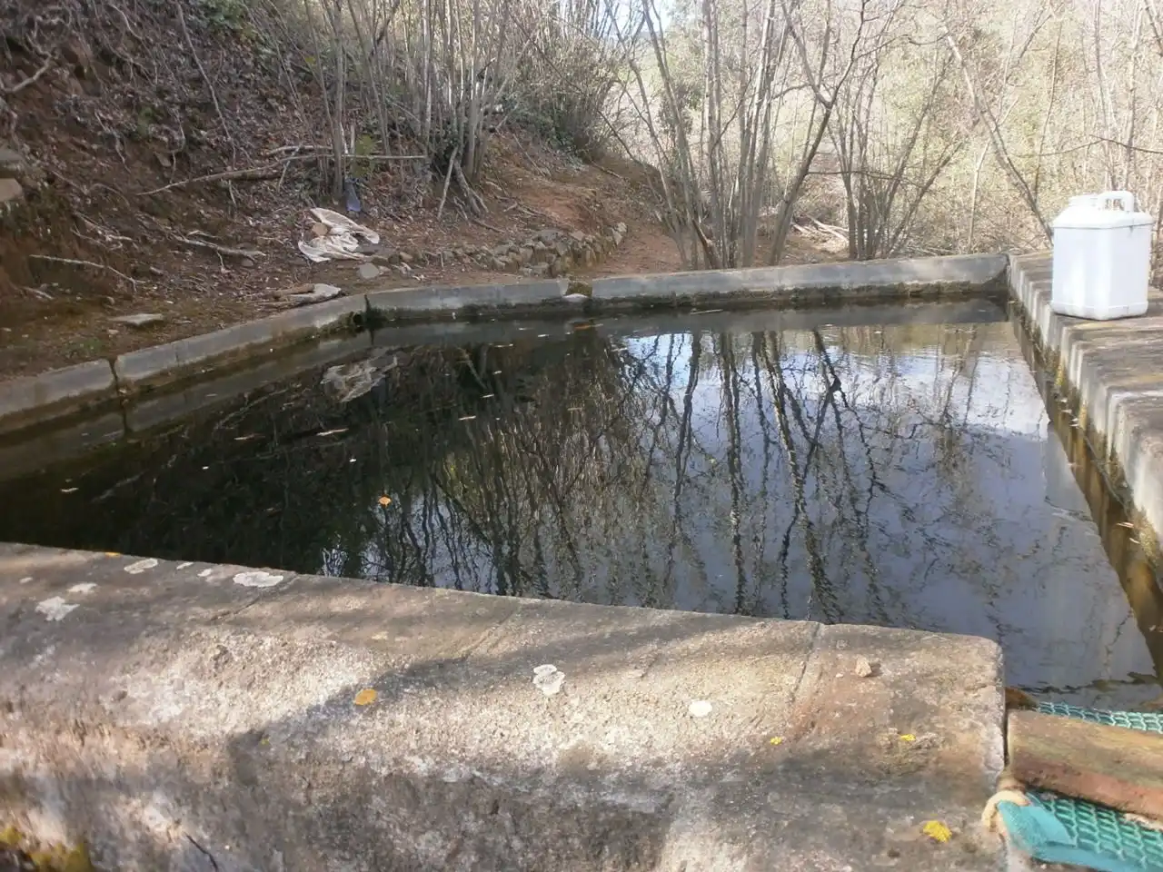 Swimming pool of Land for sale in Vilaplana, Tarragona