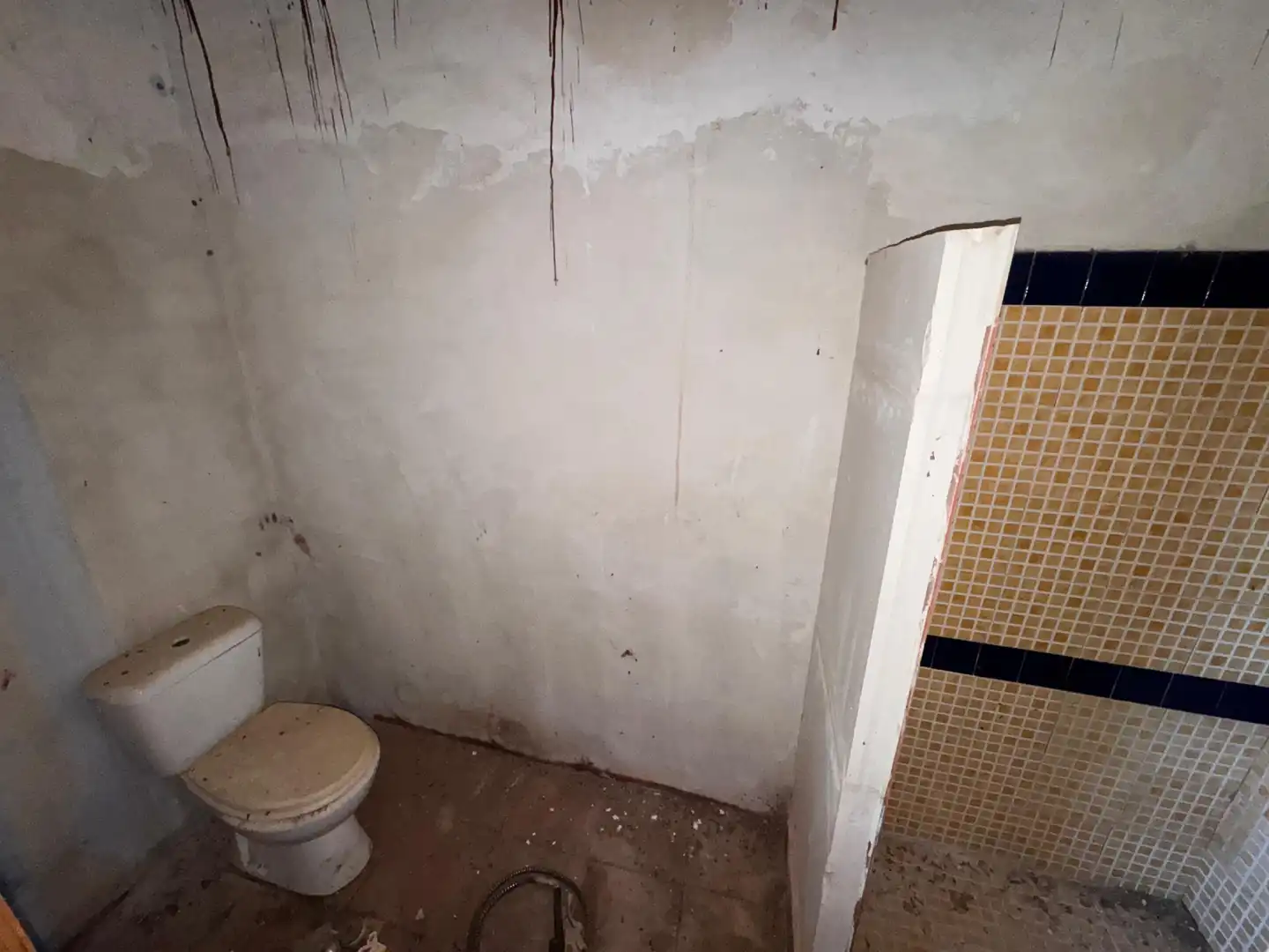 Finca rústica en venda en Málaga amb Jardí privat i Piscina
