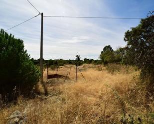 Residencial en venda en El Berrueco