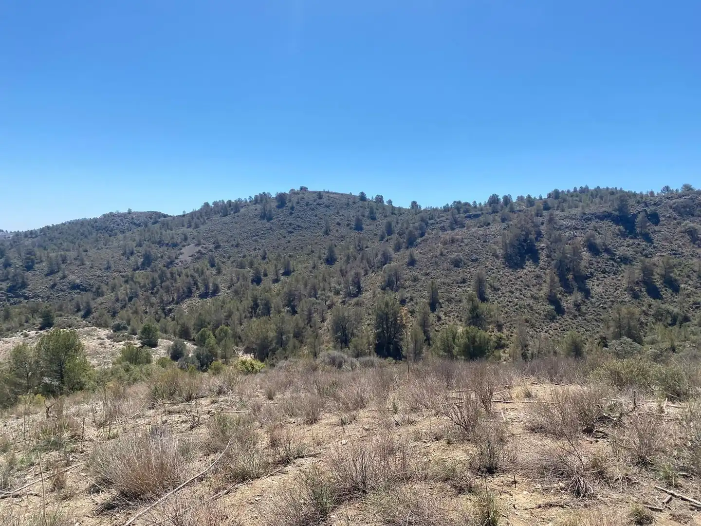 Terreno rustico in vendita a Pedanías Centro, imagen 3