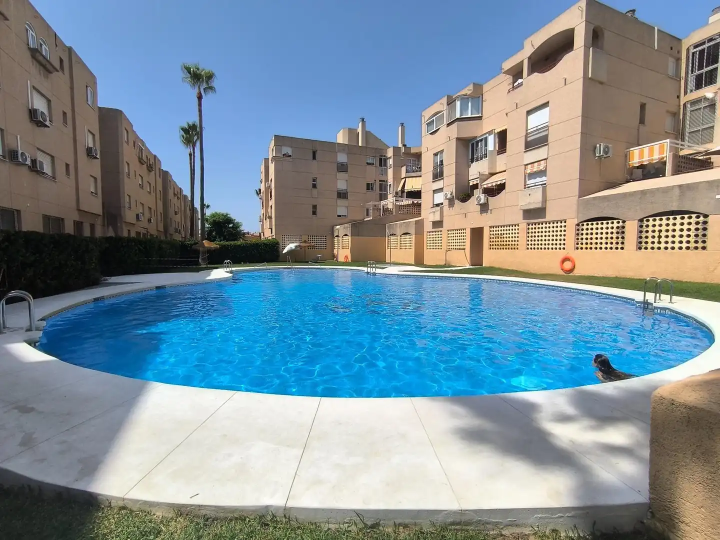 Schwimmbecken von Wohnung zur Miete in Málaga mit Klimaanlage, Privatgarten und Terrasse