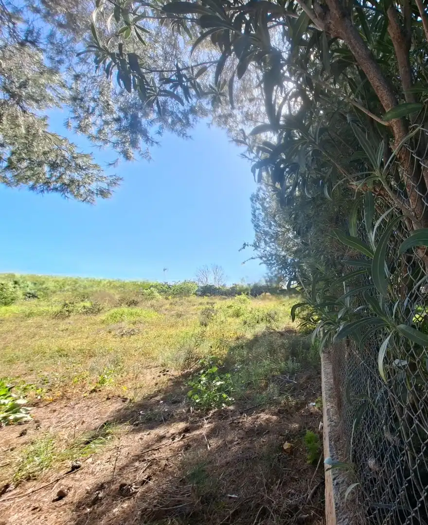 Terreno rustico in vendita a La Conarda - Montesano, imagen 6