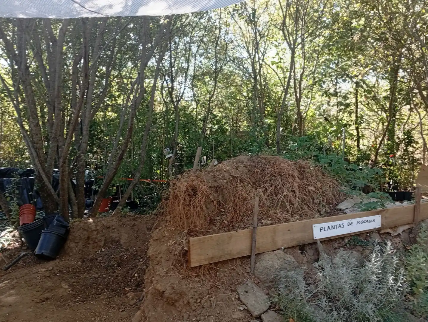 Terrain rustique à vendre à Villanueva de la Vera, imagen 21