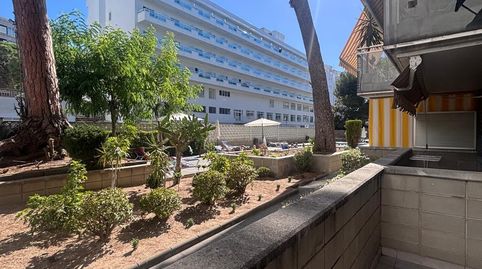Foto 3 de Planta baja en venta en Mar i Camp - Platja dels Capellans, Salou