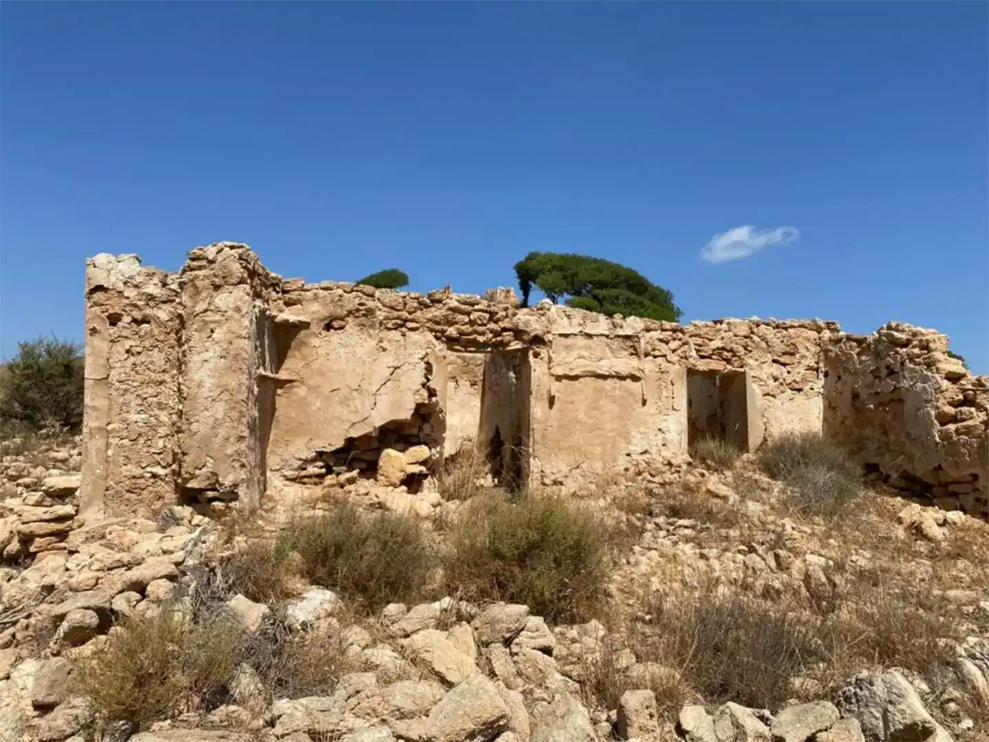 Exterior view of Land for sale in Níjar